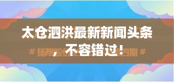 太仓泗洪最新新闻头条，不容错过！