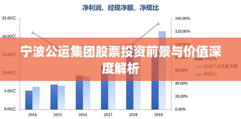 宁波公运集团股票投资前景与价值深度解析