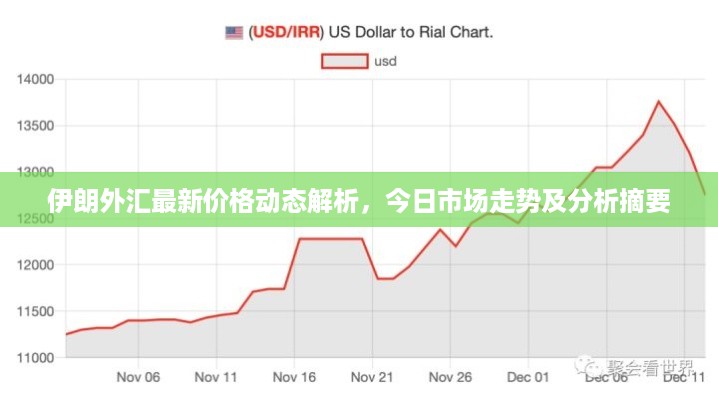 伊朗外汇最新价格动态解析，今日市场走势及分析摘要