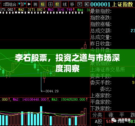 李石股票，投资之道与市场深度洞察