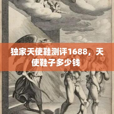 独家天使鞋测评1688，天使鞋子多少钱 