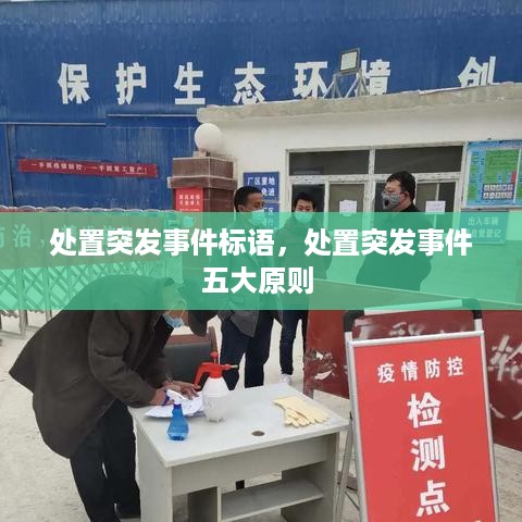 处置突发事件标语，处置突发事件五大原则 