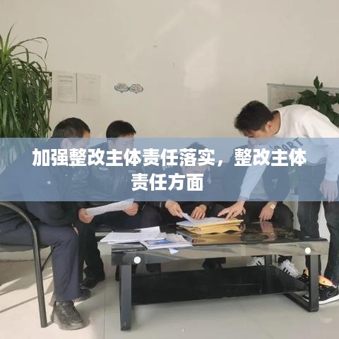 加强整改主体责任落实，整改主体责任方面 