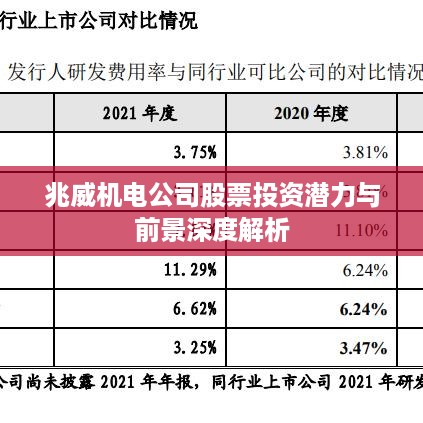 兆威机电公司股票投资潜力与前景深度解析