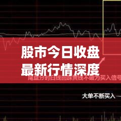 股市今日收盘最新行情深度解析