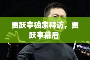 贾跃亭独家拜访，贾跃亭幕后 