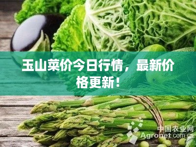 玉山菜价今日行情，最新价格更新！