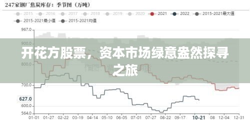 开花方股票，资本市场绿意盎然探寻之旅