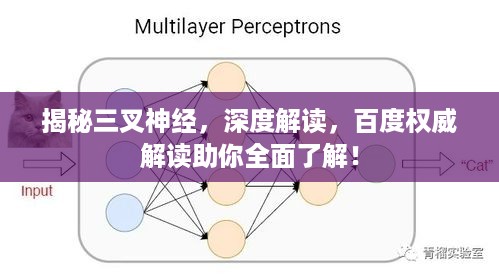 揭秘三叉神经，深度解读，百度权威解读助你全面了解！