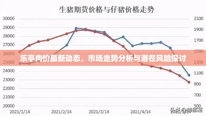 乐亭肉价最新动态，市场走势分析与潜在风险探讨