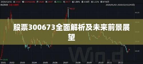 股票300673全面解析及未来前景展望