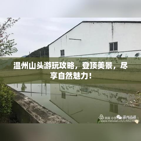 温州山头游玩攻略，登顶美景，尽享自然魅力！