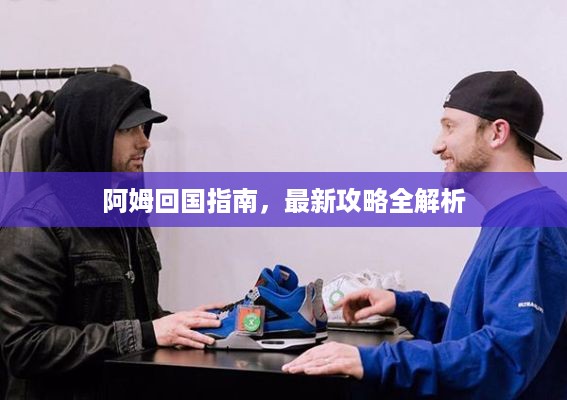 阿姆回国指南，最新攻略全解析