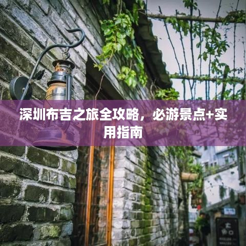 深圳布吉之旅全攻略，必游景点+实用指南