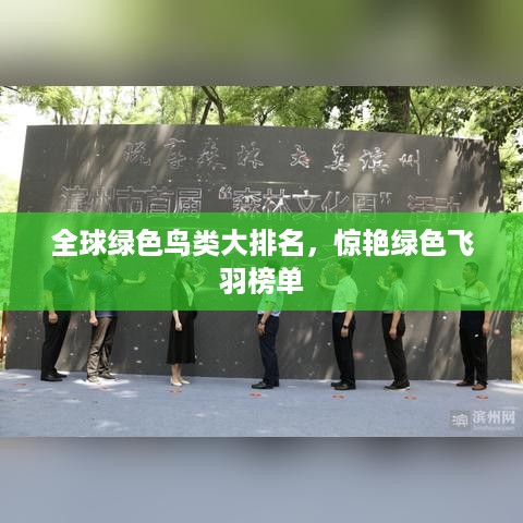 全球绿色鸟类大排名，惊艳绿色飞羽榜单