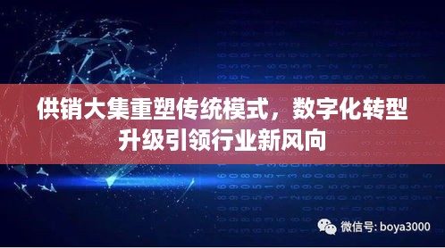 供销大集重塑传统模式，数字化转型升级引领行业新风向