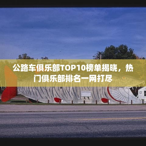 公路车俱乐部TOP10榜单揭晓，热门俱乐部排名一网打尽