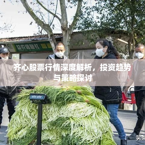 齐心股票行情深度解析，投资趋势与策略探讨