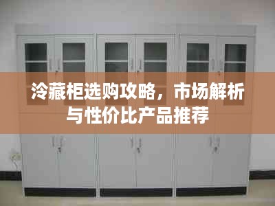 泠藏柜选购攻略，市场解析与性价比产品推荐