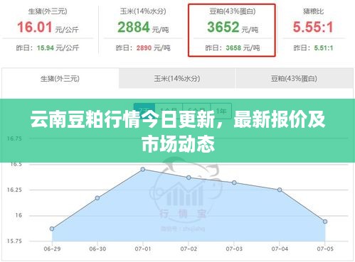 云南豆粕行情今日更新，最新报价及市场动态