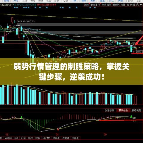 弱势行情管理的制胜策略，掌握关键步骤，逆袭成功！