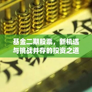 基金二期股票，新机遇与挑战并存的投资之道