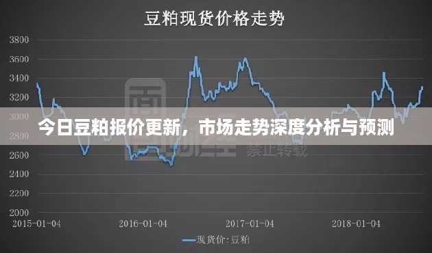 今日豆粕报价更新，市场走势深度分析与预测