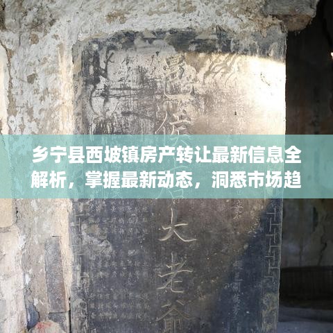 乡宁县西坡镇房产转让最新信息全解析，掌握最新动态，洞悉市场趋势