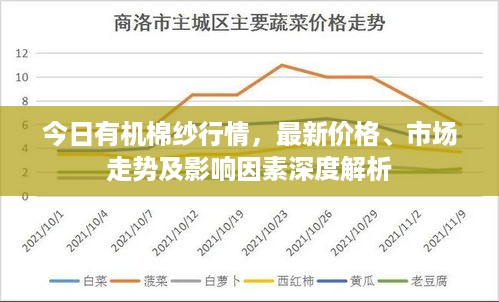 今日有机棉纱行情，最新价格、市场走势及影响因素深度解析