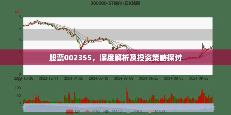 股票002355，深度解析及投资策略探讨