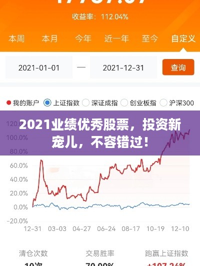 2021业绩优秀股票，投资新宠儿，不容错过！