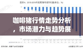 咖啡猪行情走势分析，市场潜力与趋势展望