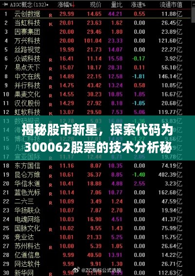 揭秘股市新星，探索代码为300062股票的技术分析秘籍