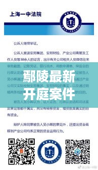 鄢陵最新开庭案件实录，法律公正展现，案件细节披露