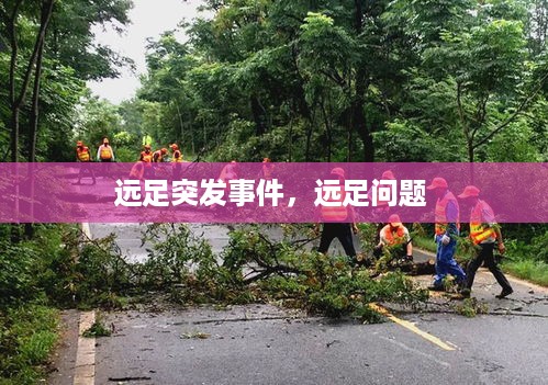 远足突发事件，远足问题 