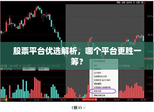 股票平台优选解析，哪个平台更胜一筹？