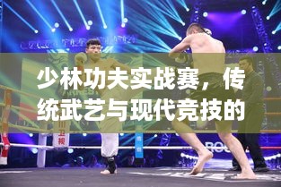 少林功夫实战赛，传统武艺与现代竞技的巅峰对决