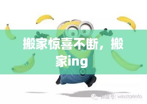 搬家惊喜不断，搬家ing 