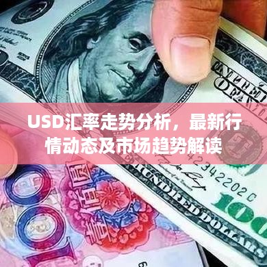 USD汇率走势分析，最新行情动态及市场趋势解读