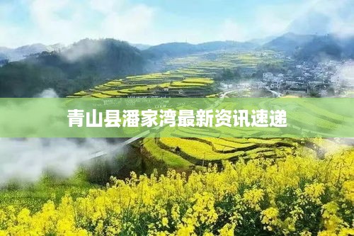 青山县潘家湾最新资讯速递