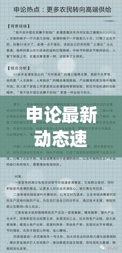 申论最新动态速递，今日热点消息全解析