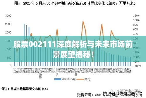 股票002111深度解析与未来市场前景展望揭秘！