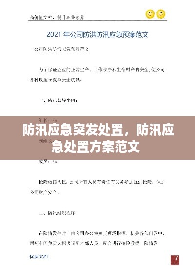 防汛应急突发处置，防汛应急处置方案范文 