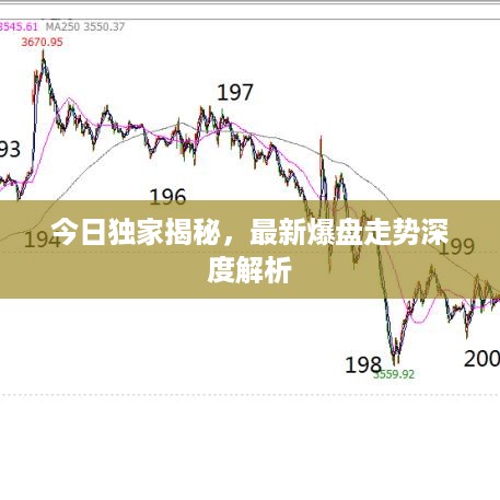 今日独家揭秘，最新爆盘走势深度解析