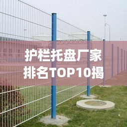 护栏托盘厂家排名TOP10揭秘，行业领军者大盘点