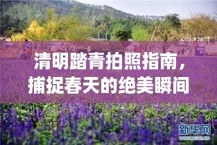 清明踏青拍照指南，捕捉春天的绝美瞬间