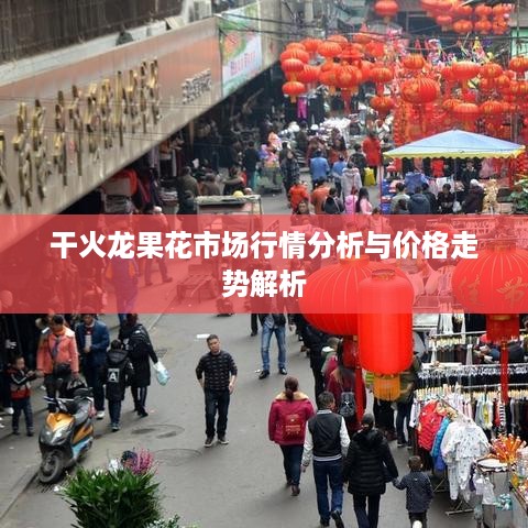 干火龙果花市场行情分析与价格走势解析