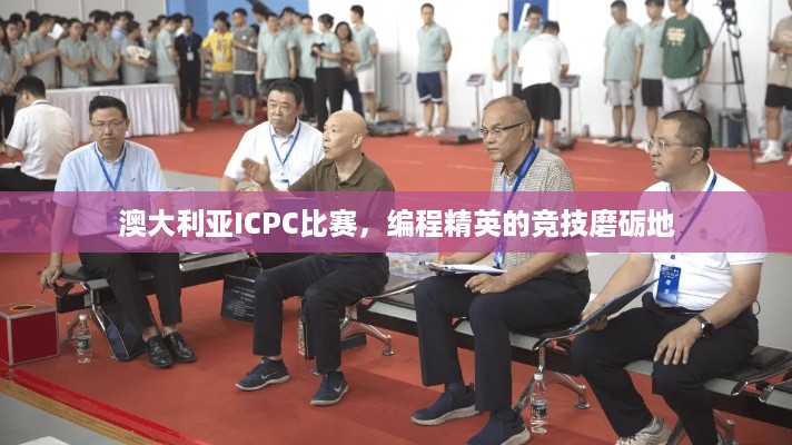 澳大利亚ICPC比赛，编程精英的竞技磨砺地