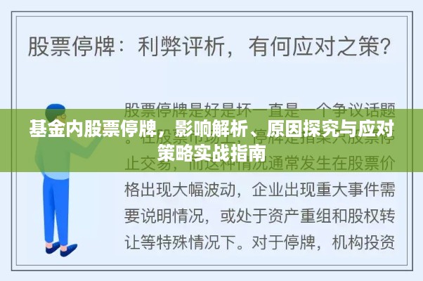 基金内股票停牌，影响解析、原因探究与应对策略实战指南