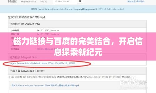 磁力链接与百度的完美结合，开启信息探索新纪元